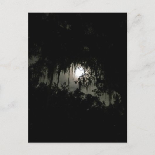 Haunting Dark Night Feestdagenkaart (Voorkant)