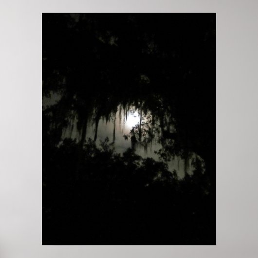 Haunting Dark Night Poster (Voorkant)