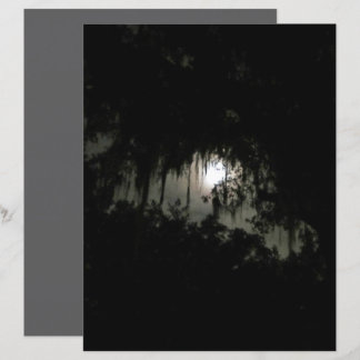 Haunting Dark Night Scrapbook Papier