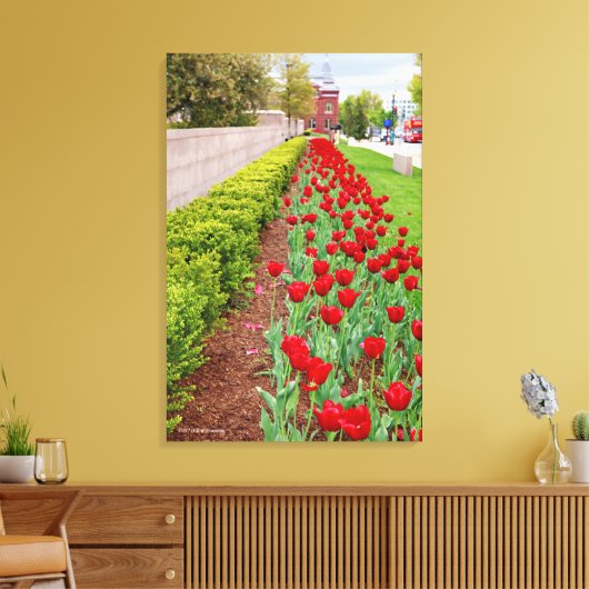 Haupt Bulbs Canvas Afdruk (Insitu (Woonkamer))