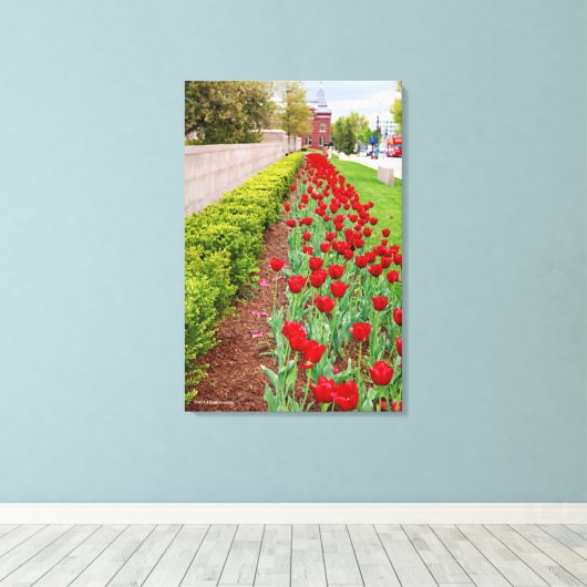 Haupt Bulbs Canvas Afdruk (Insitu (Houten vloer))