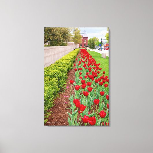 Haupt Bulbs Canvas Afdruk (Voorkant)