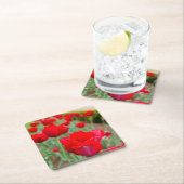 Haupt Bulbs, close-up Kartonnen Onderzetters (Insitu)