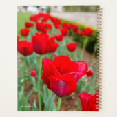 Haupt Bulbs, close-up Planner (Achterkant)