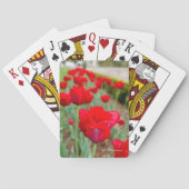 Haupt Bulbs, close-up Pokerkaarten (Achterkant)