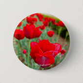 Haupt Bulbs, close-up Ronde Button 5,7 Cm (Voorkant)