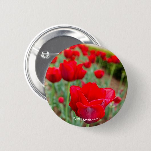 Haupt Bulbs, close-up Ronde Button 5,7 Cm (Voorkant /achterkant)