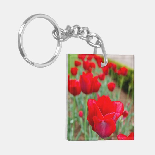 Haupt Bulbs, close-up Sleutelhanger (Voorkant Links)