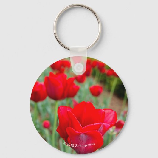 Haupt Bulbs, close-up Sleutelhanger (Voorkant)