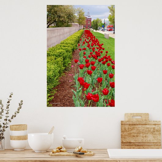 Haupt Bulbs Poster (Keuken)