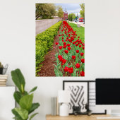 Haupt Bulbs Poster (Thuiskantoor)