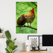 Haushahn mit Henne auf Ast,New Hampshire, Haushuhn Poster (Thuiskantoor)