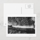 Hauula, HI - Gesuikerde Herfsten, nabij Cooper Ran Briefkaart (Voorkant / Achterkant)