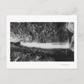 Hauula, HI - Gesuikerde Herfsten, nabij Cooper Ran Briefkaart (Voorkant)