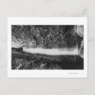 Hauula, HI - Gesuikerde Herfsten, nabij Cooper Ran Briefkaart