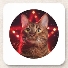 Havana Brown Cat (ras met sterrenachtergrond) Bier Onderzetter