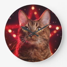 Havana Brown Cat (ras met sterrenachtergrond)