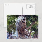 havana lion briefkaart (Voorkant / Achterkant)