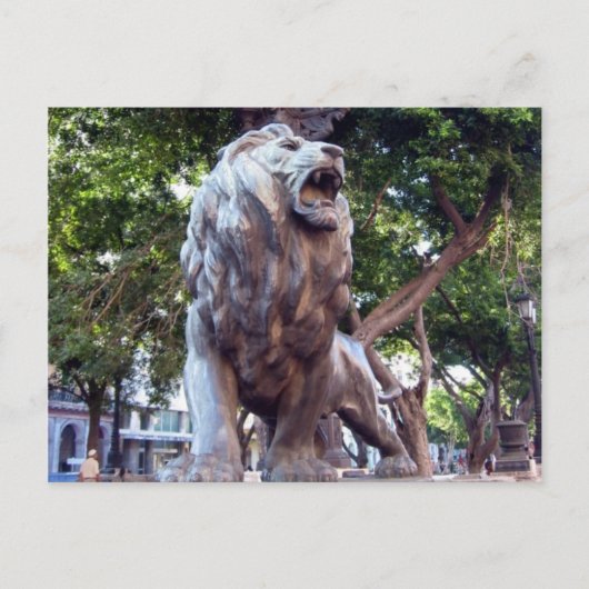 havana lion briefkaart (Voorkant)