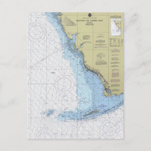 Havana naar Tampa Bay Florida Nautical Chart Postc Briefkaart (Voorkant)