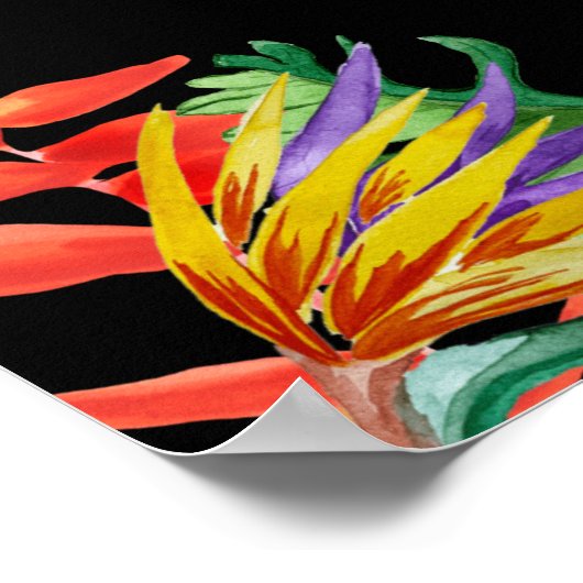 Havana Nights, Havana Nights Party, Tropisch Poster (Hoek)