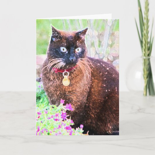 Havana-Wenskaart Kaart (Voorkant)