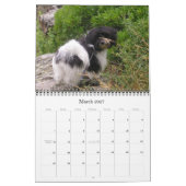Havanees 2009 kalender (Mar 2027)