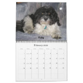 Havanees 2009 kalender (Feb 2026)