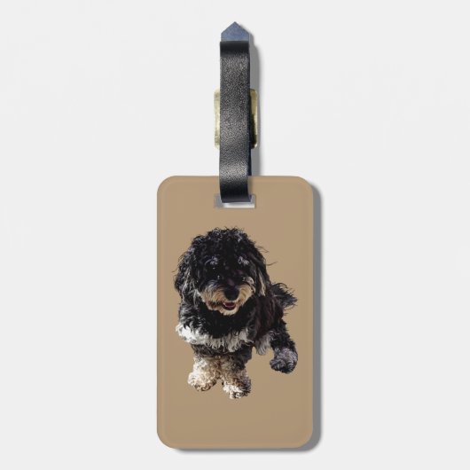 Havanees Bagagelabel (Achterkant verticaal)