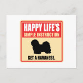 Havanees Briefkaart (Voorkant)