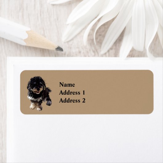 Havanees Etiket (Insitu)