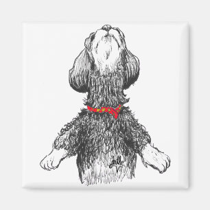 Havanees geluk - Danspup! Magneet