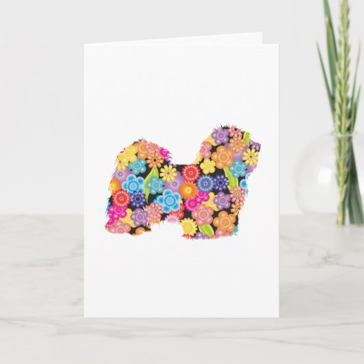 Havanees Kaart (Voorkant)