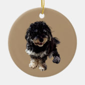 Havanees Keramisch Ornament (Voorkant)