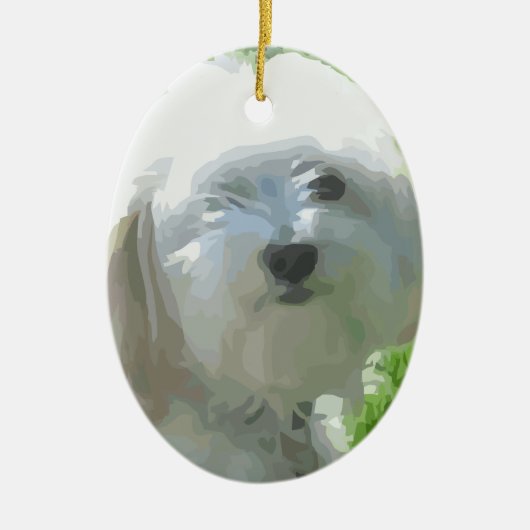 Havanees Keramisch Ornament (Voorkant)