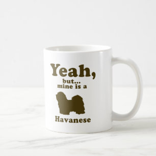 Havanees Koffiemok