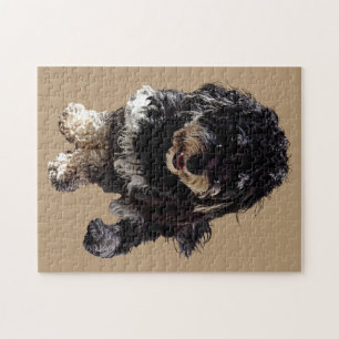 Havanees Legpuzzel
