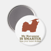 Havanees Magneet (Voorkant / Achterkant)