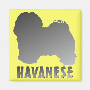 Havanees Magneet