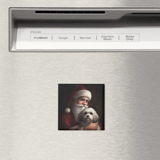 Havanees met Sinterklaas Feestelijke Kerstmis Magneet (Insitu (Vaatwasser))