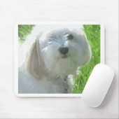 Havanees Muismat (Met muis)