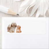 Havanees retouradres-label etiket (Insitu)