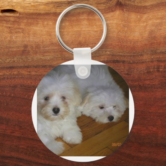 Havanees Sleutelhanger (Voorkant)