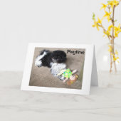 HAVANEES ZEGT DAT IK WOU DAT IK MET ONS KON SPELEN KAART (Gele Bloem)