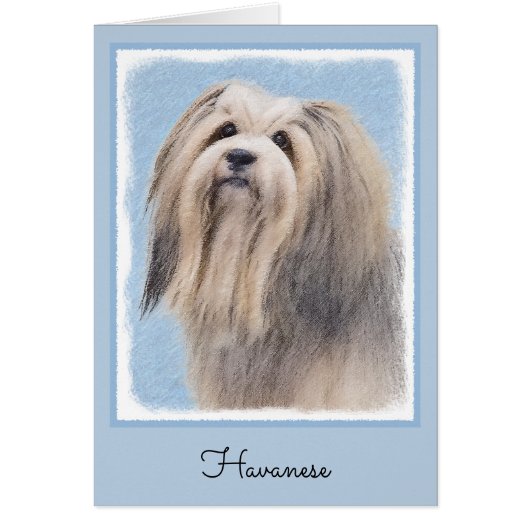 Havanees (zilver) schilderen - Kute Original Dog A (Voorkant)