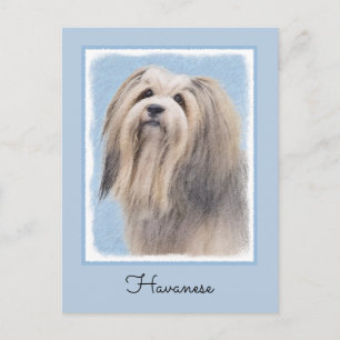 Havanees (zilver) schilderen - Kute Original Dog A Briefkaart