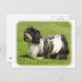 Havanese 8W098D-14 Briefkaart (Voorkant / Achterkant)