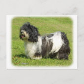 Havanese 8W098D-14 Briefkaart (Voorkant)