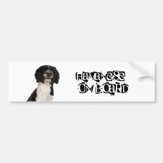 Havanese aan boord bumpersticker (Voorkant)