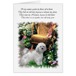 Havanese Art Gifts